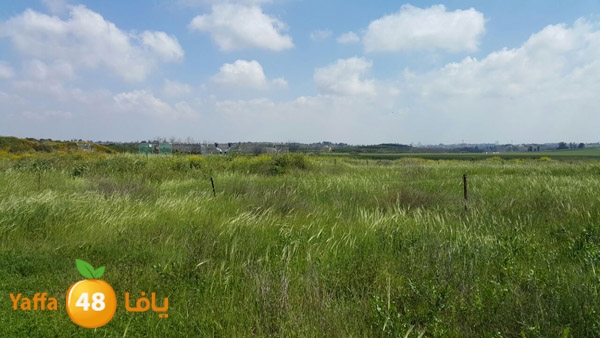 roben tabee3ar (24).JPG